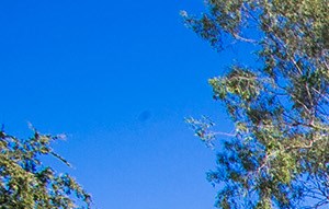 Towne Square Apartment Homes | Award Winning Apartments in Chandler, AZ